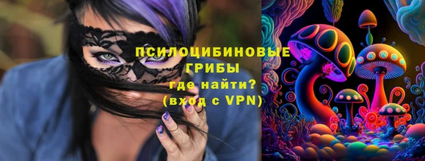 Альфа ПВП Вязники